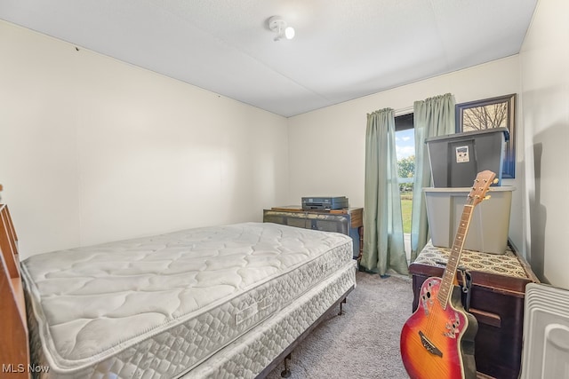 bedroom with carpet