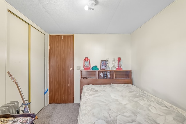 bedroom featuring light carpet, a textured ceiling, and a closet