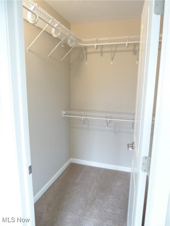 4424 W 53rd St, Cleveland, OH 44109 - walk in closet featuring carpet