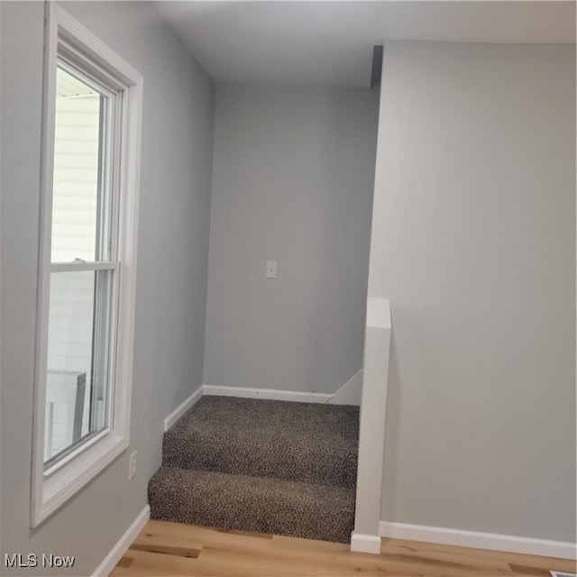 stairway featuring hardwood / wood-style floors