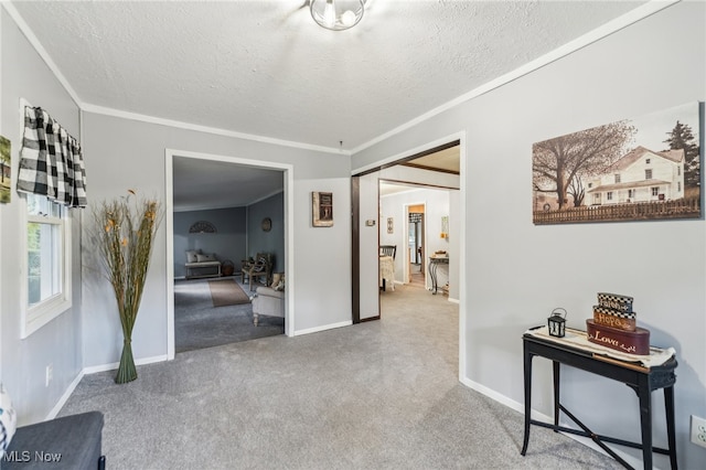 hallway with ornamental molding and a textured ceiling