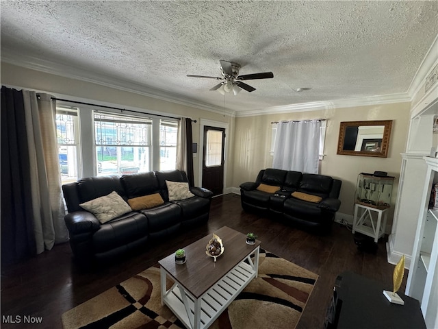 living room with crown molding, a textured ceiling, and dark hardwood / wood-style flooring