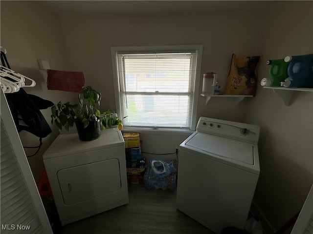 laundry room with independent washer and dryer and hardwood / wood-style flooring