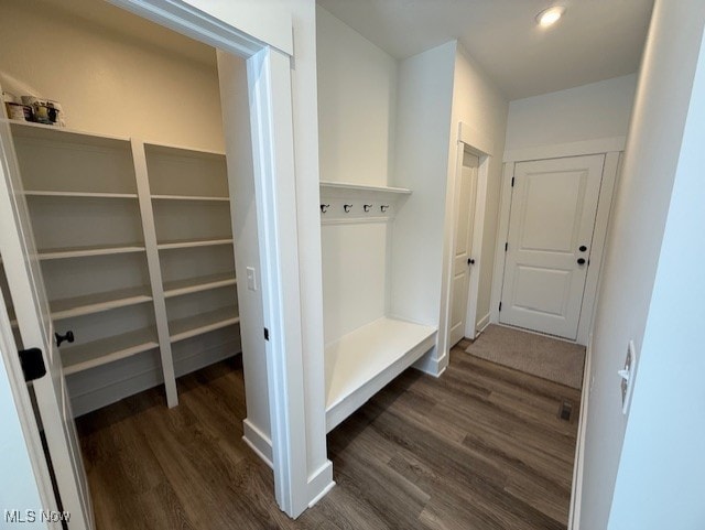 mudroom with dark wood-type flooring