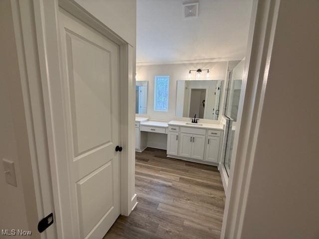 bathroom featuring wood-type flooring and vanity