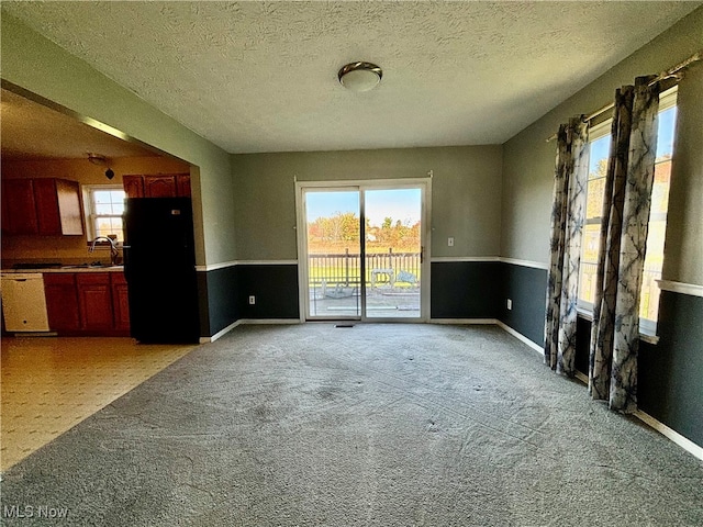 unfurnished living room with a textured ceiling and light colored carpet