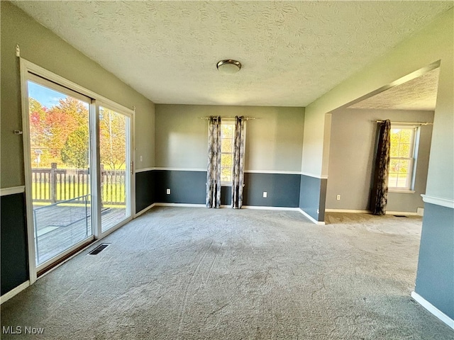 carpeted empty room with a textured ceiling and plenty of natural light