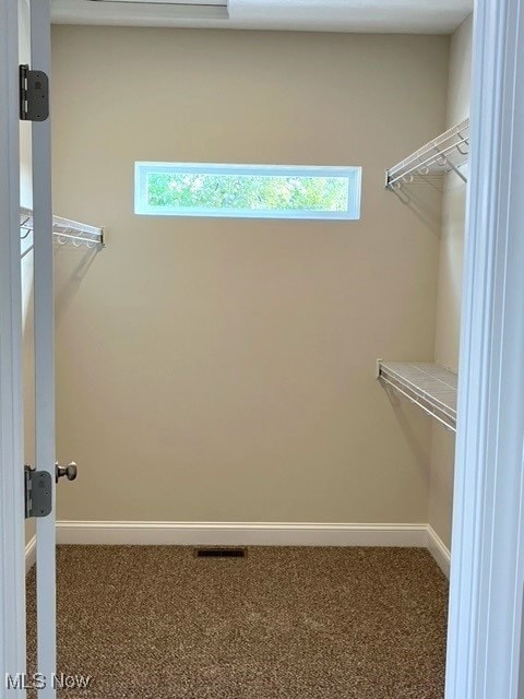 spacious closet featuring carpet flooring