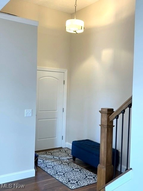 foyer with dark hardwood / wood-style flooring