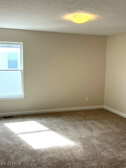 unfurnished room featuring a textured ceiling and carpet floors