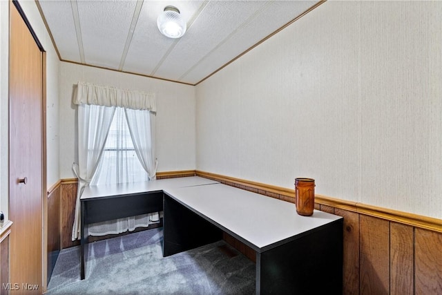 office space featuring carpet flooring, a textured ceiling, and wooden walls