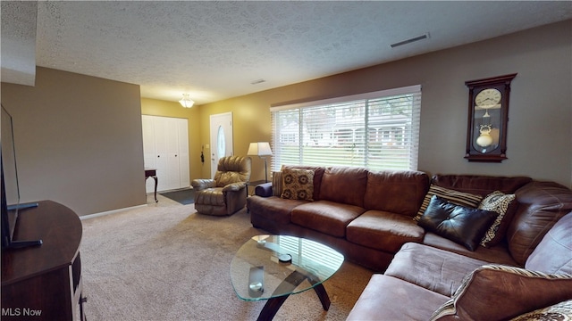 living room with carpet and a textured ceiling