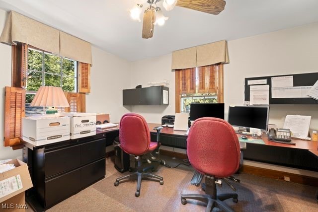 office featuring carpet and ceiling fan