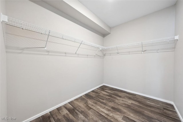 spacious closet with dark wood-style flooring