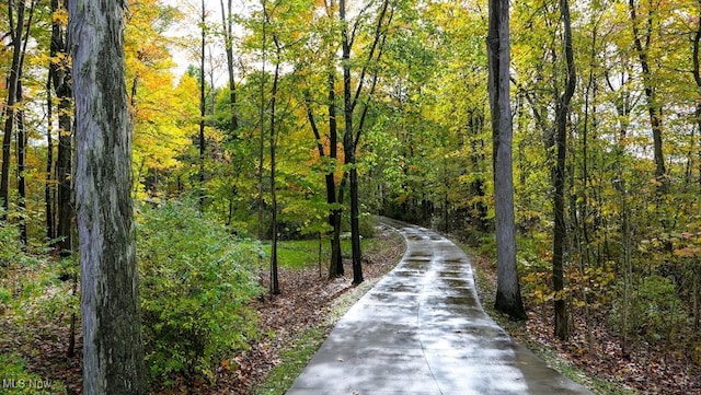 view of surrounding community