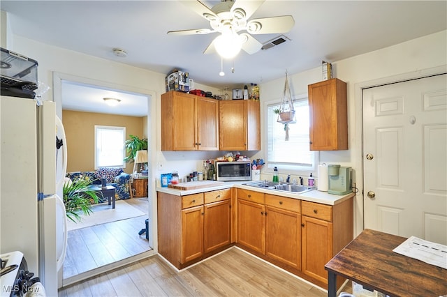 kitchen with white fridge, light hardwood / wood-style floors, a healthy amount of sunlight, and sink