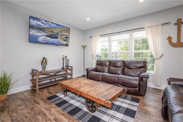 living room with dark wood-type flooring