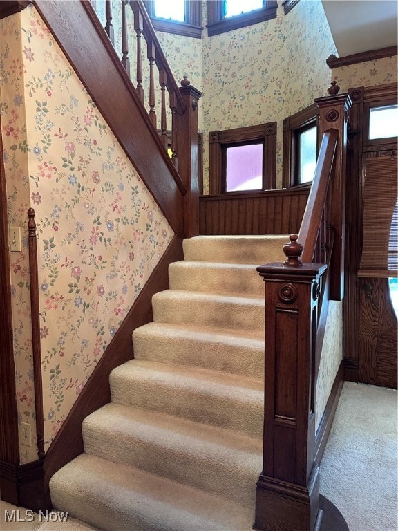 staircase featuring carpet and plenty of natural light