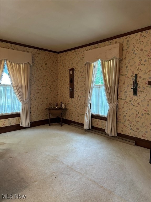 carpeted empty room featuring ornamental molding