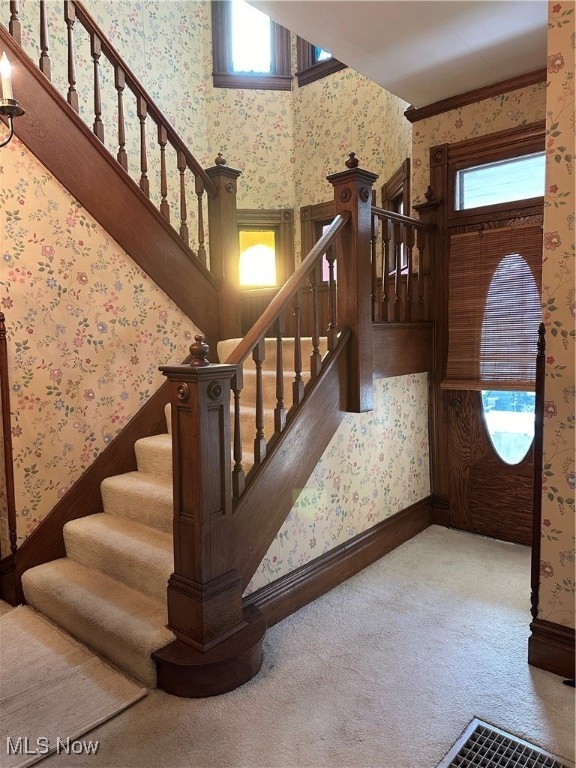 stairs featuring carpet flooring