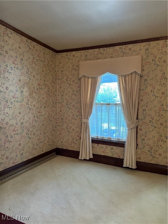 unfurnished room featuring crown molding and carpet flooring