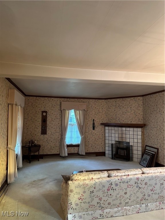 unfurnished living room with light carpet