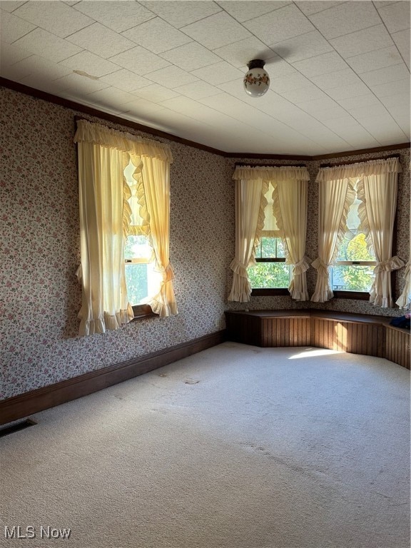 spare room featuring carpet floors