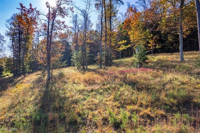 Mountain View Ln, Parkersburg, WV 26104 - photo 2