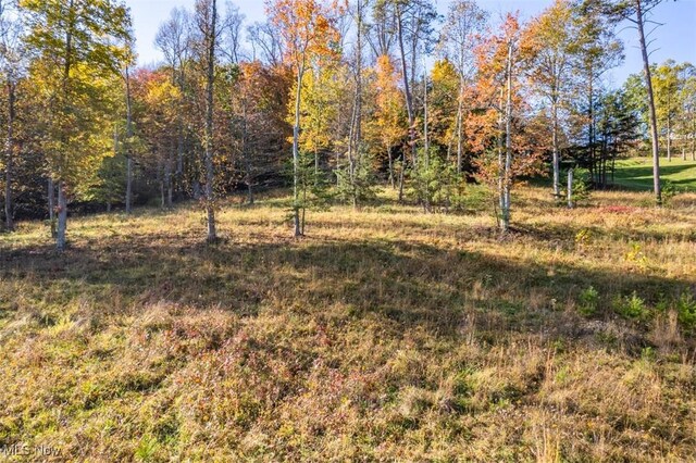 Mountain View Ln, Parkersburg, WV 26104 - photo 4