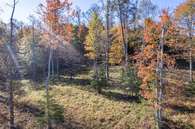Mountain View Ln, Parkersburg, WV 26104 - photo 7