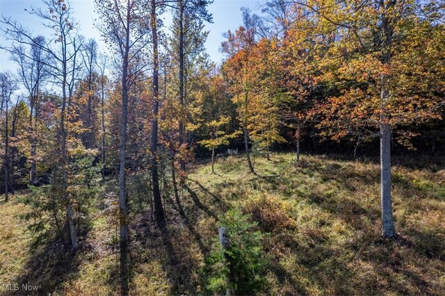 Mountain View Ln, Parkersburg, WV 26104 - photo 8