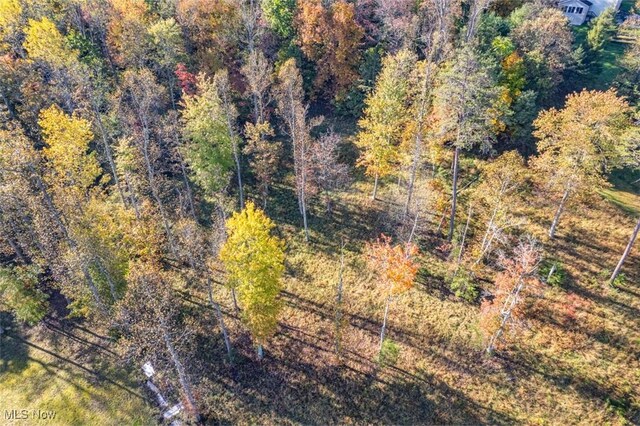 Mountain View Ln, Parkersburg, WV 26104 - photo 9