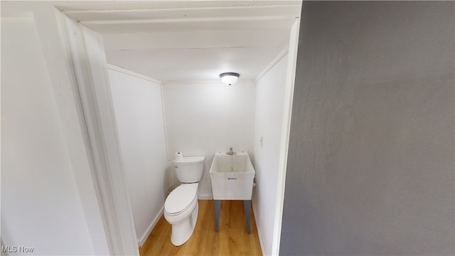 bathroom with sink, hardwood / wood-style flooring, and toilet