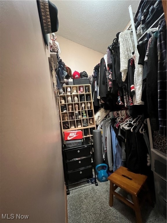 spacious closet featuring carpet flooring