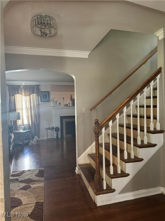 stairway with ornamental molding and hardwood / wood-style floors