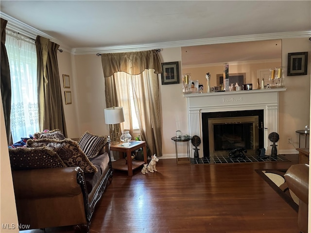 living area with ornamental molding and dark hardwood / wood-style flooring