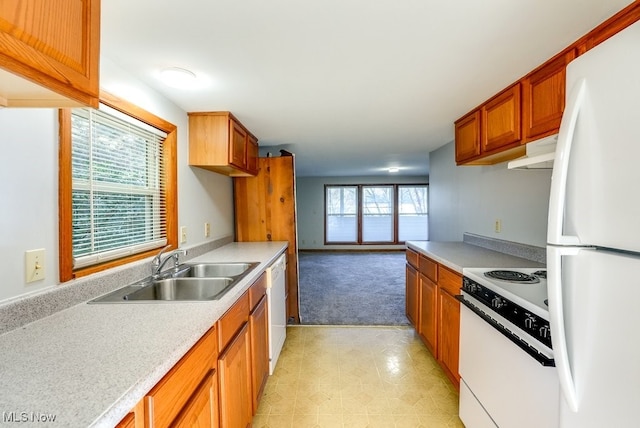 kitchen featuring light colored carpet, sink, and white appliances