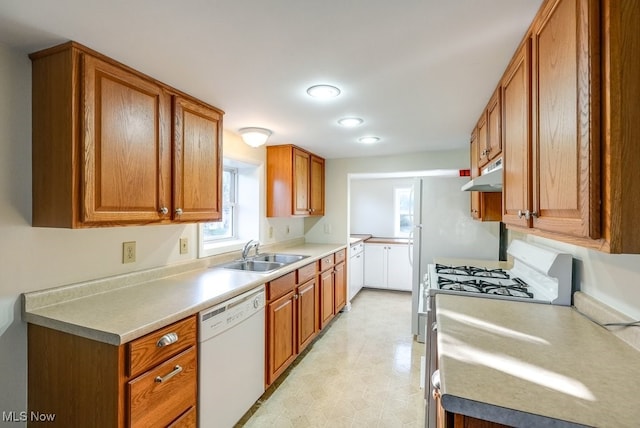 kitchen featuring white dishwasher and sink