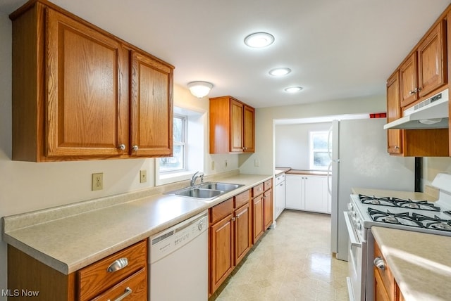 kitchen with sink, white appliances, and plenty of natural light