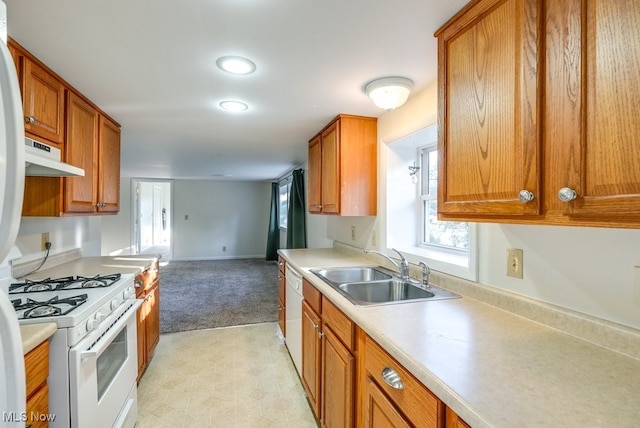 kitchen featuring sink, light carpet, and white appliances