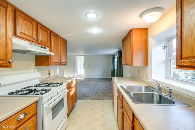 kitchen featuring sink and gas range gas stove