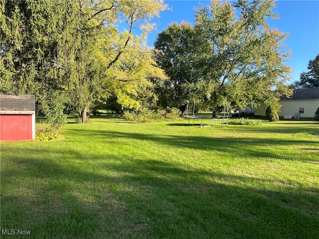 view of yard with a trampoline