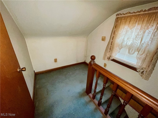 additional living space with carpet floors and vaulted ceiling