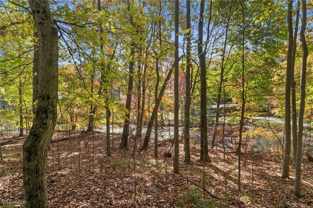 W Comet Rd, Clinton, OH 44216 - photo 23