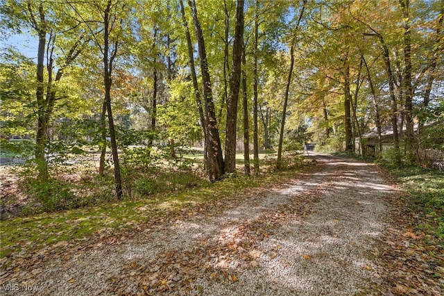 W Comet Rd, Clinton, OH 44216 - photo 24