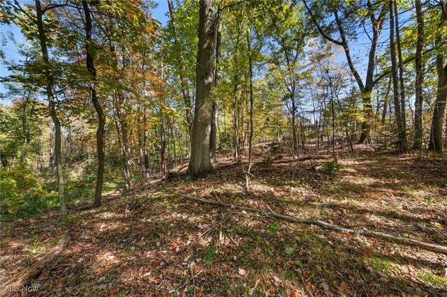W Comet Rd, Clinton, OH 44216 - photo 4