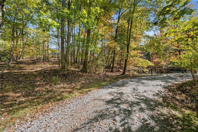 W Comet Rd, Clinton, OH 44216 - photo 6