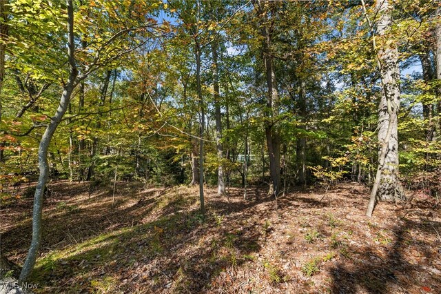 W Comet Rd, Clinton, OH 44216 - photo 7