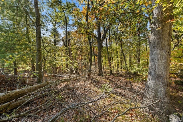 W Comet Rd, Clinton, OH 44216 - photo 8