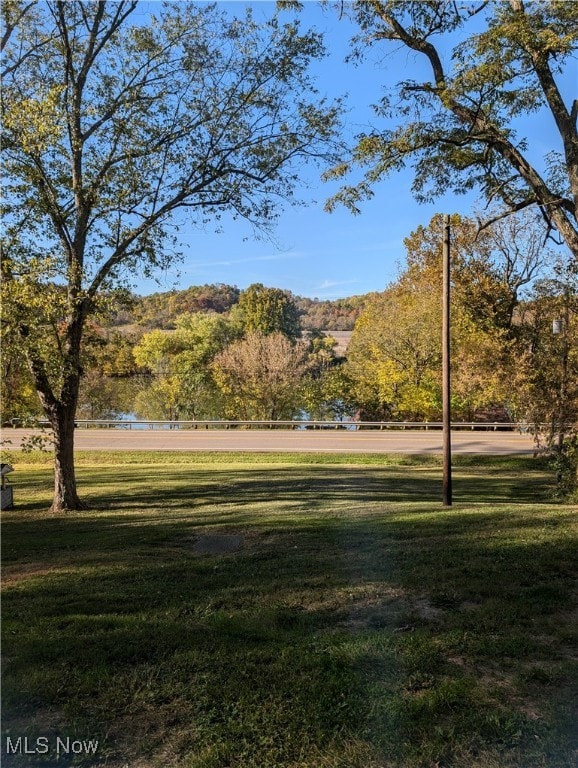 view of community featuring a yard